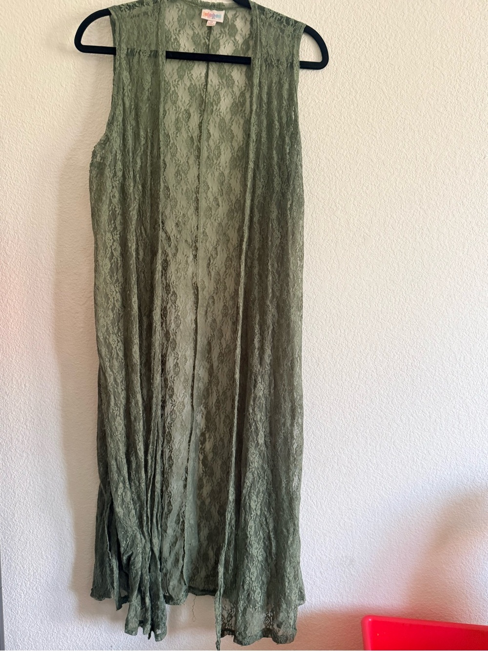 LuLaRoe Lace Joy in Sage Green